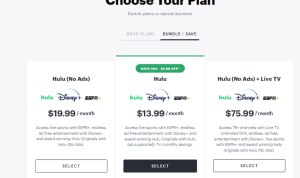 Exploring the Rise of Subscription-Based E-commerce