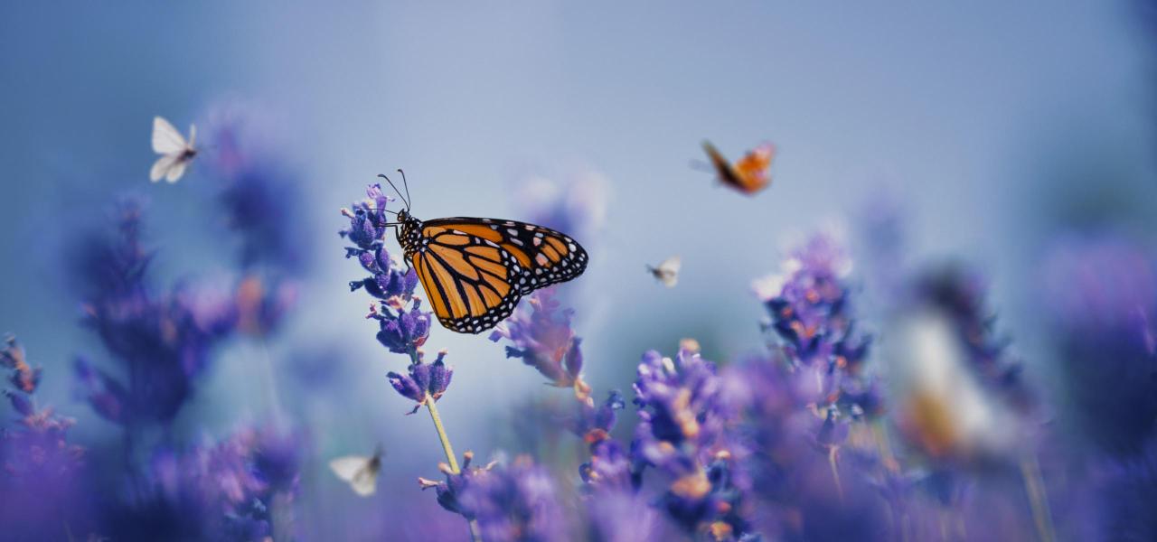 Exploring Predictive Analytics Tools for Marketing