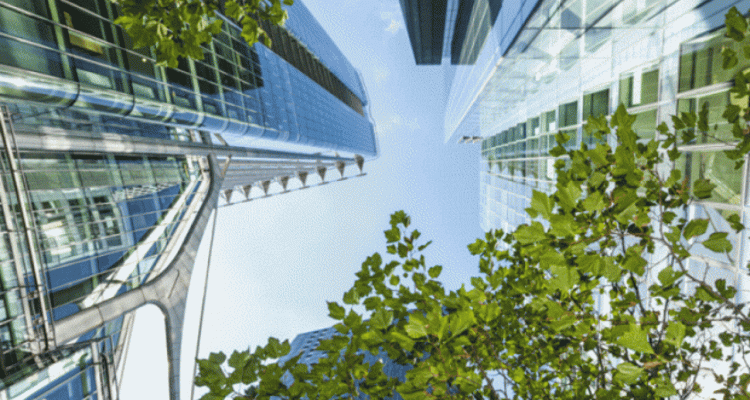 Exploring Green Real Estate Sustainable Building Practices