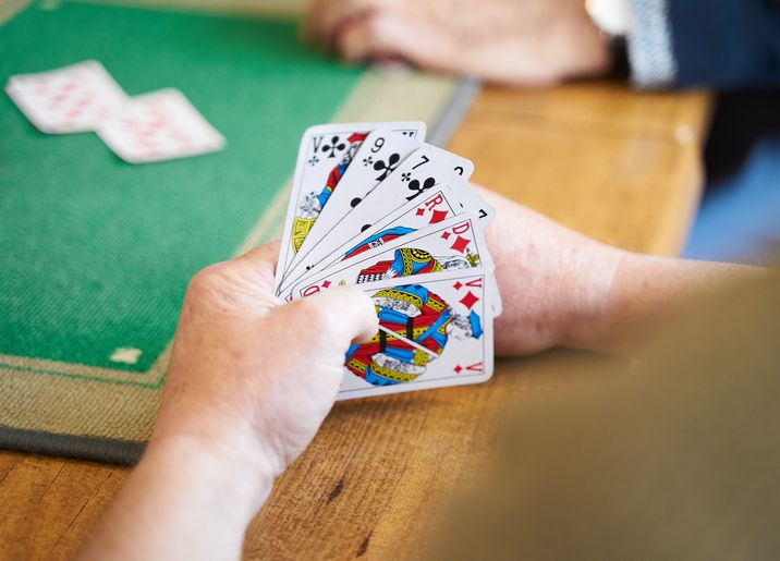 Vavada-casino-de Net: Potenziale Nachteile und Einschränkungen
