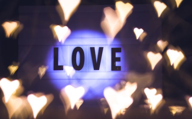 Date Well Endowed Men: Privacy Considerations for Specific Dating Communities