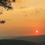 Feelflame Free Video — Maximizing Your Success with Online Dating